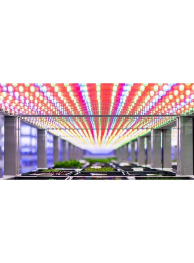 led grow light